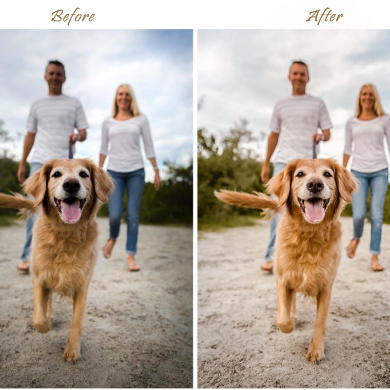 80 Natural LIGHTROOM Presets, Spring Outdoor Preset, Creamy Preset, Bohemian Preset, Warm Light Filter, Mobile Preset, Bright Desktop Preset