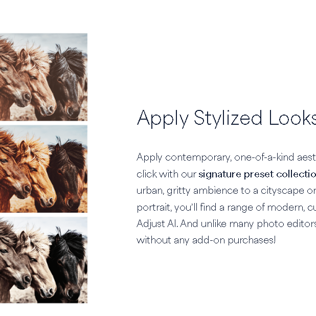 Topaz Adjust AI 1.6.8 (Chinese Localized Version)