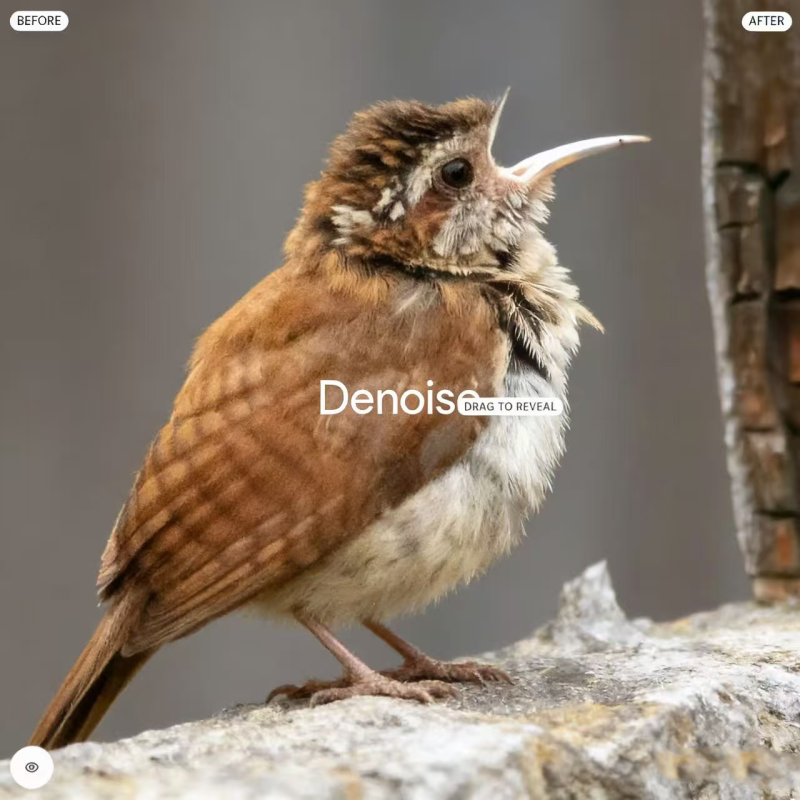 Topaz Photo AI 3.0.3